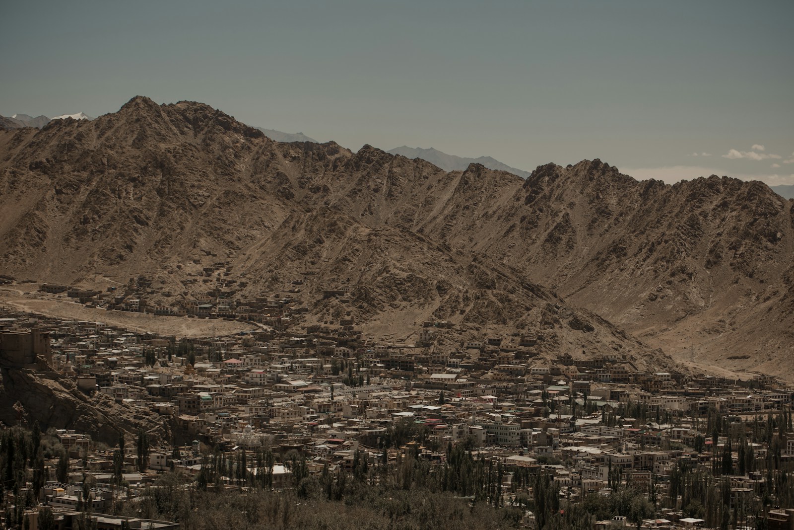 A view of a city with mountains in the background