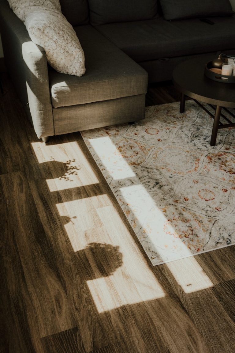 a living room with a couch and a rug